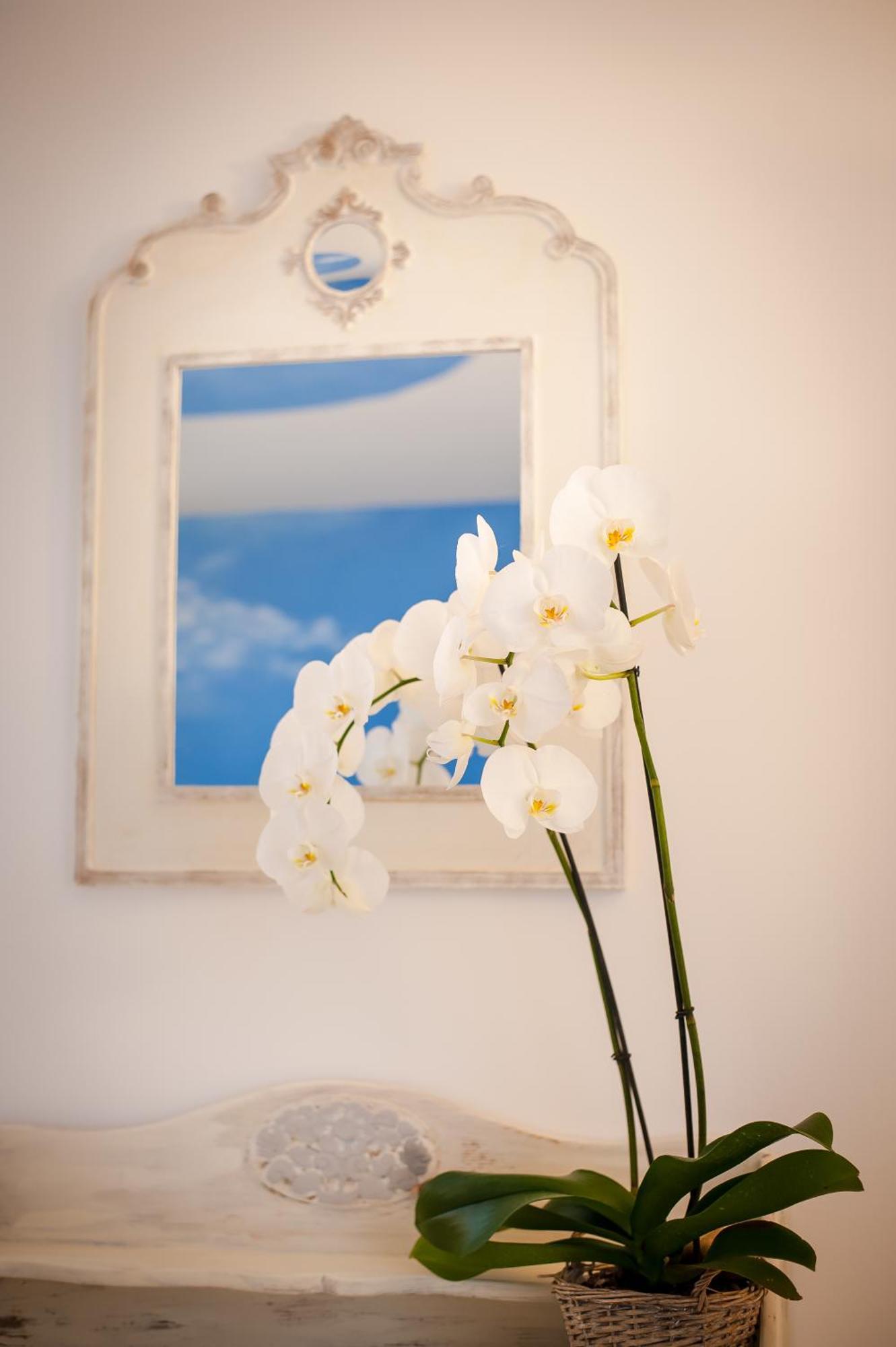 Les 4 Elements Bed & Breakfast Tourrettes-sur-Loup Bilik gambar