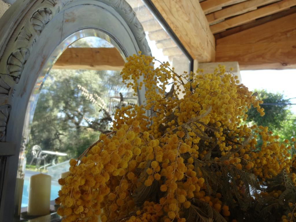 Les 4 Elements Bed & Breakfast Tourrettes-sur-Loup Luaran gambar