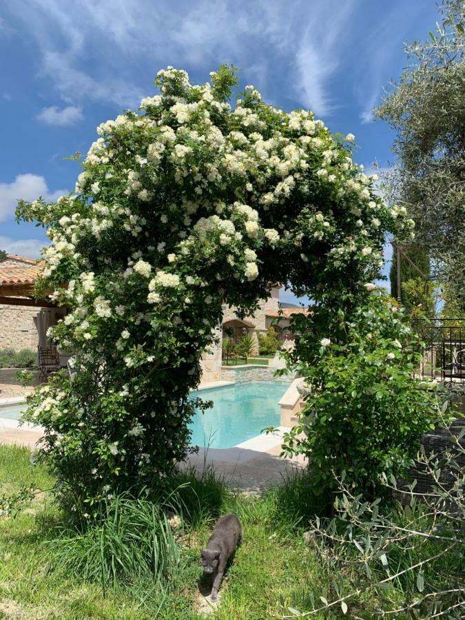 Les 4 Elements Bed & Breakfast Tourrettes-sur-Loup Luaran gambar