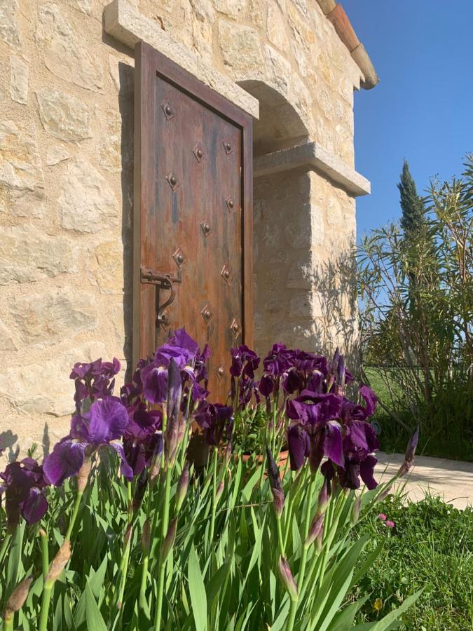 Les 4 Elements Bed & Breakfast Tourrettes-sur-Loup Luaran gambar